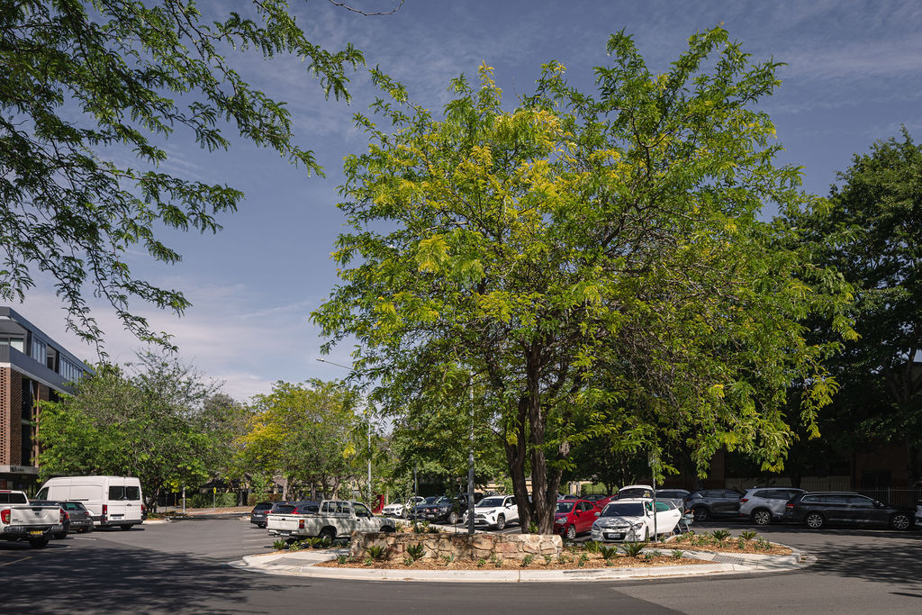 Established trees and planted islands at Campbell Shopping Centre.