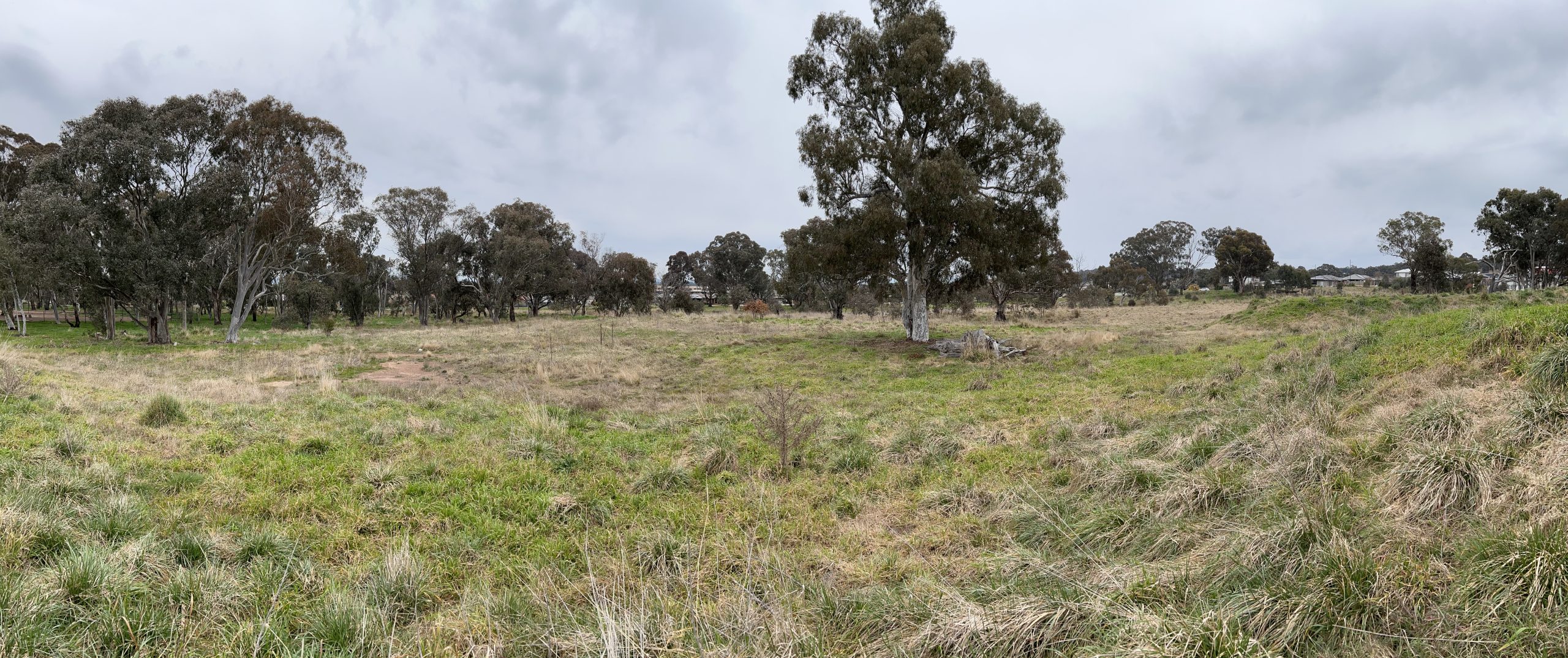 Casey park site before redevelopment, with established native trees and open grassland.