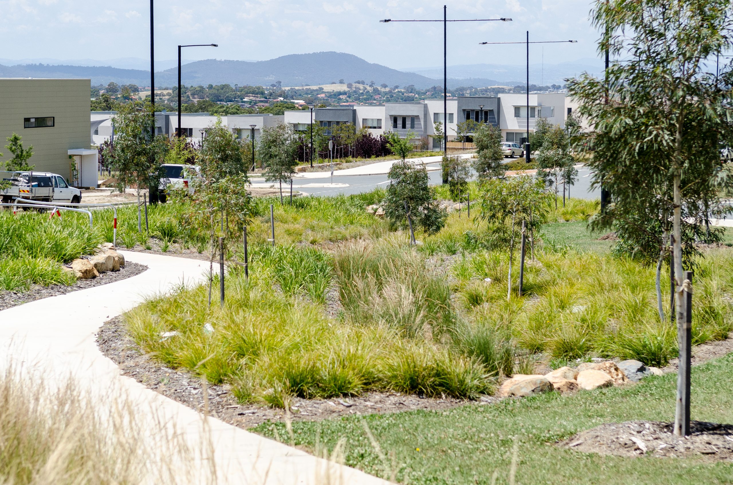 Landscaped paths, grasses and trees beside homes in Casey, with hills in the distance.