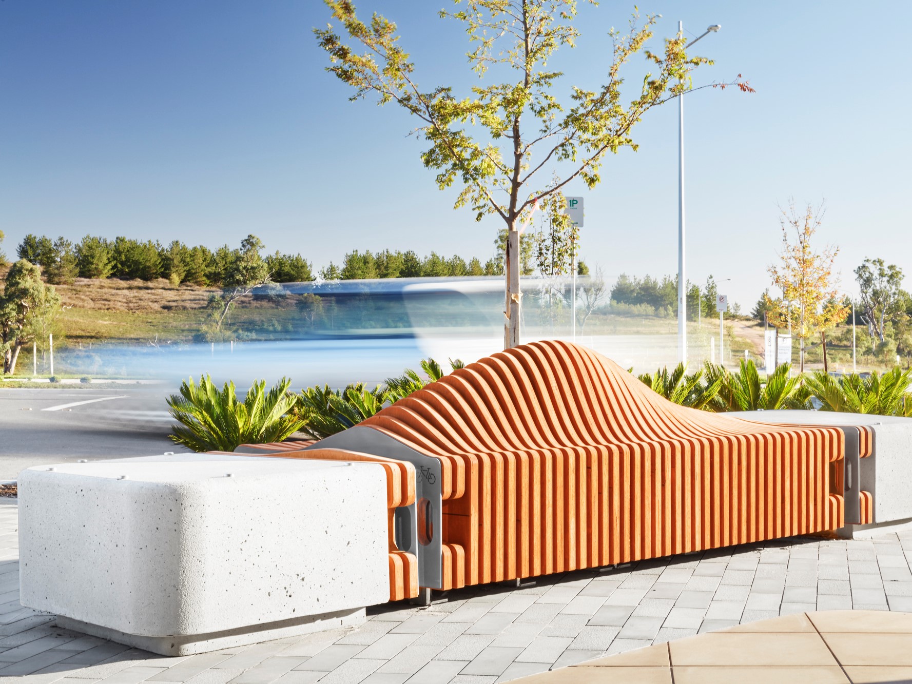 Curved timber and concrete seating beside planting at Denman Local Centre